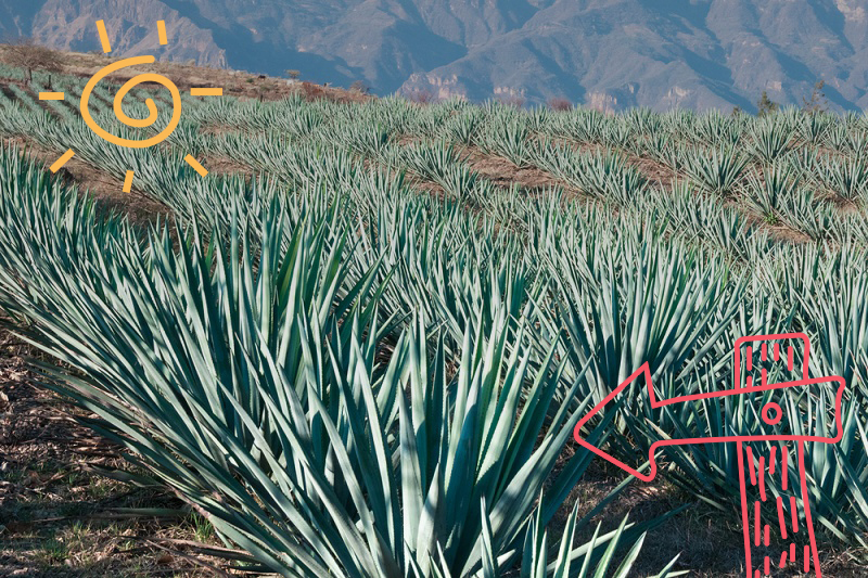 Recorre en auto los lugares turísticos en Guadalajara y alrededores