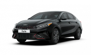forte-renta-autos-empresas-alamo-bienes-raices