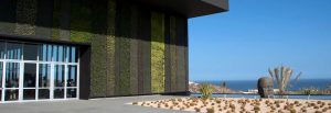 alamo-renta-autos-empresas-icc-los-cabos