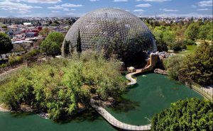 parque-ecologico-puebla-mexico-alamo-empresas-renta-autos